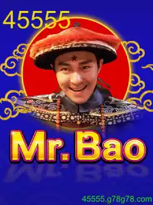 MrBao